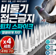 비둘기 퇴치 스파이크